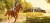 Rival Stars Horse Racing Box Art